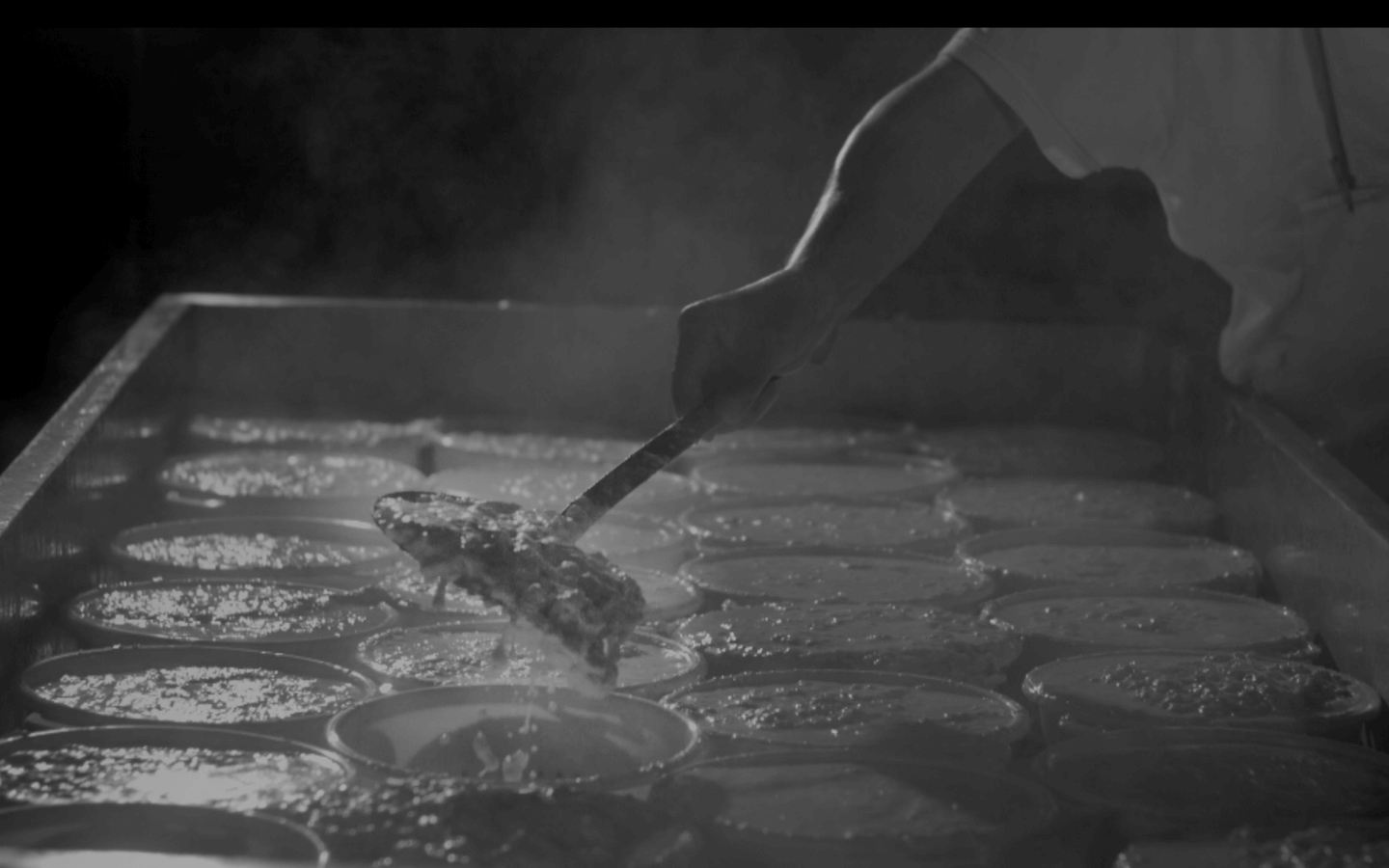 formaggi di bruna alpina