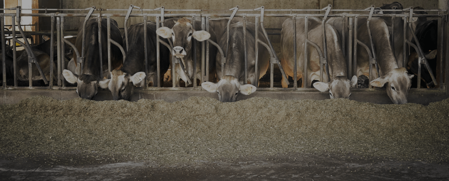 azienda agricola cremona